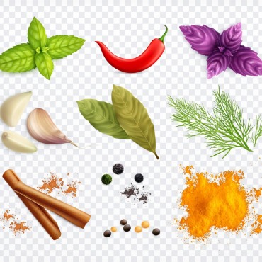 Herbs Curry Illustrations Templates 214919