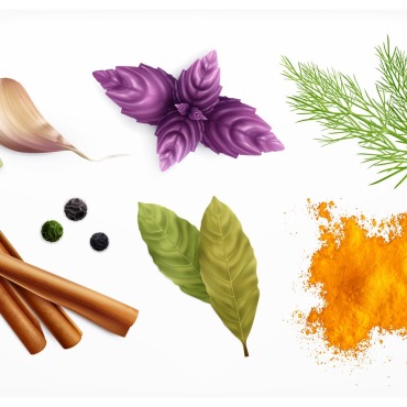 Herbs Curry Illustrations Templates 214922