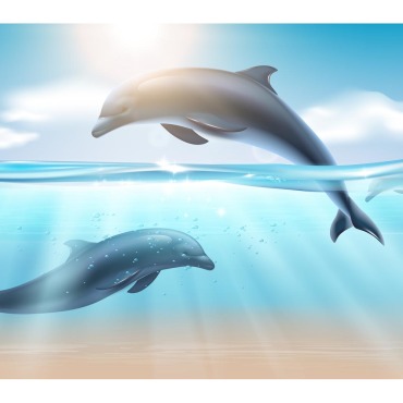 Dolphin Sea Illustrations Templates 214970
