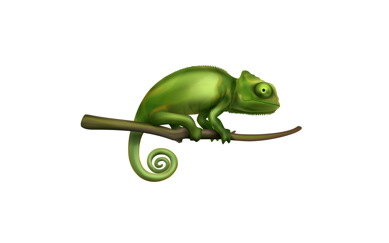 Chameleon Realistic 201021115 Vector Illustration Concept