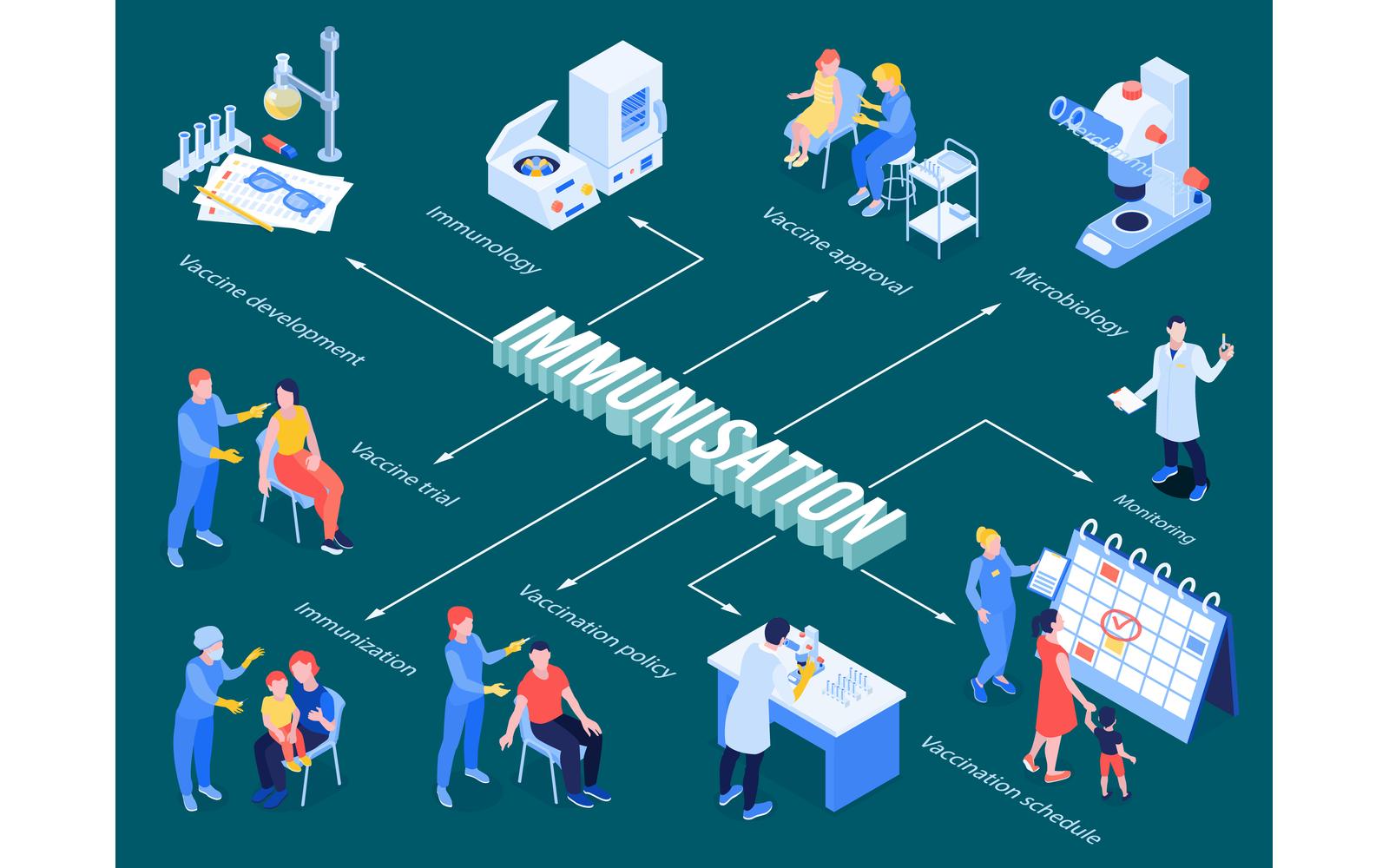 Isometric Vaccination Flowchart 201003216 Vector Illustration Concept