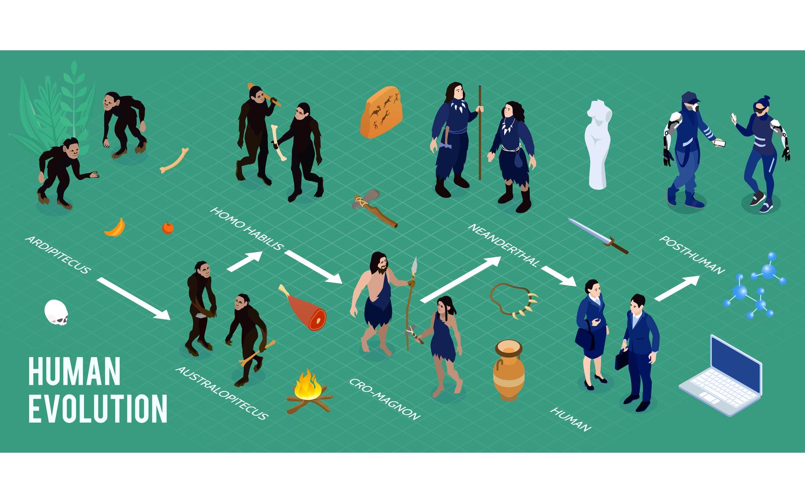 Isometric Human Evolution Infographics 201003203 Vector Illustration Concept