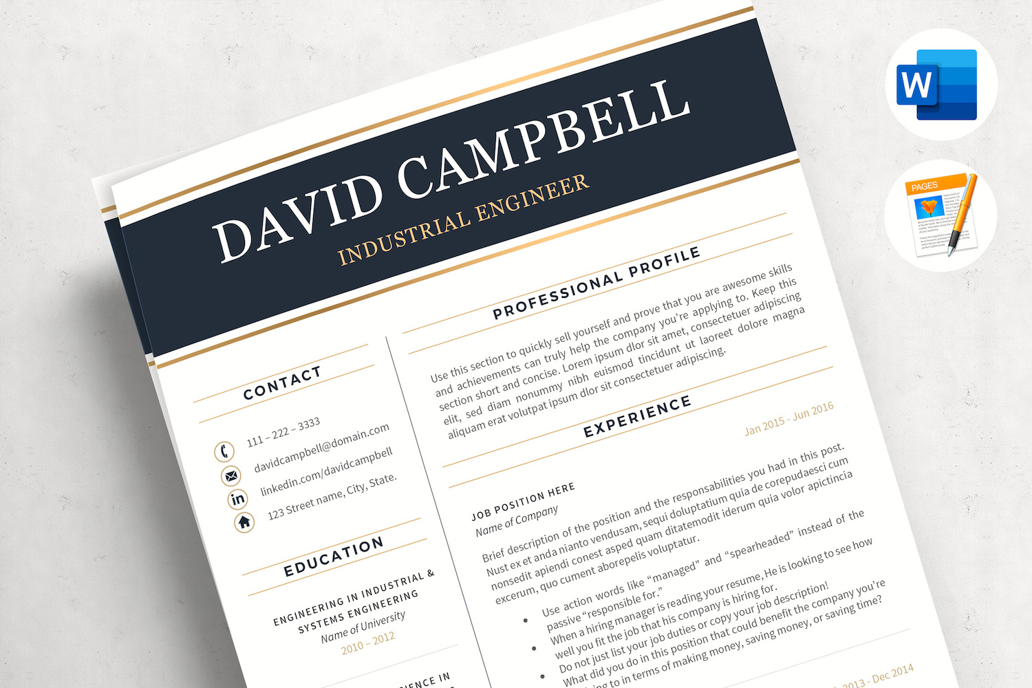 DAVID - Professional Resume  for Engineers. Engineering Resume with Cover Letter & References