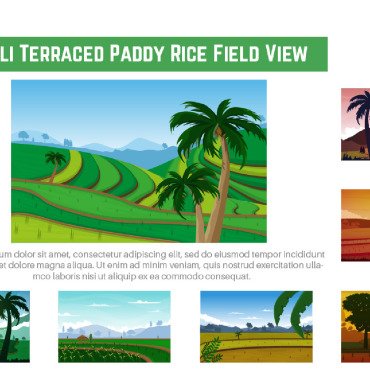 Terraced Paddy Illustrations Templates 216165