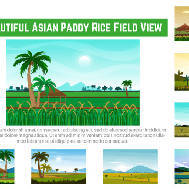 Asian Paddy Illustrations Templates 216166