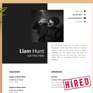 Cv Best Resume Templates 216635