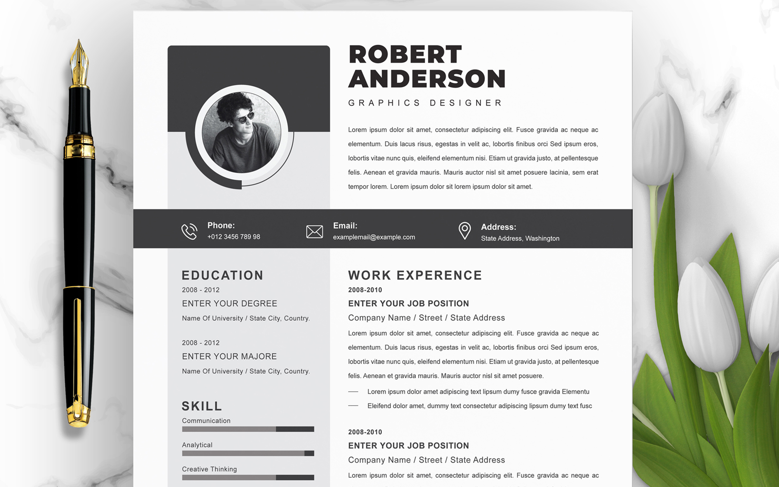 Robert Anderson / CV Template