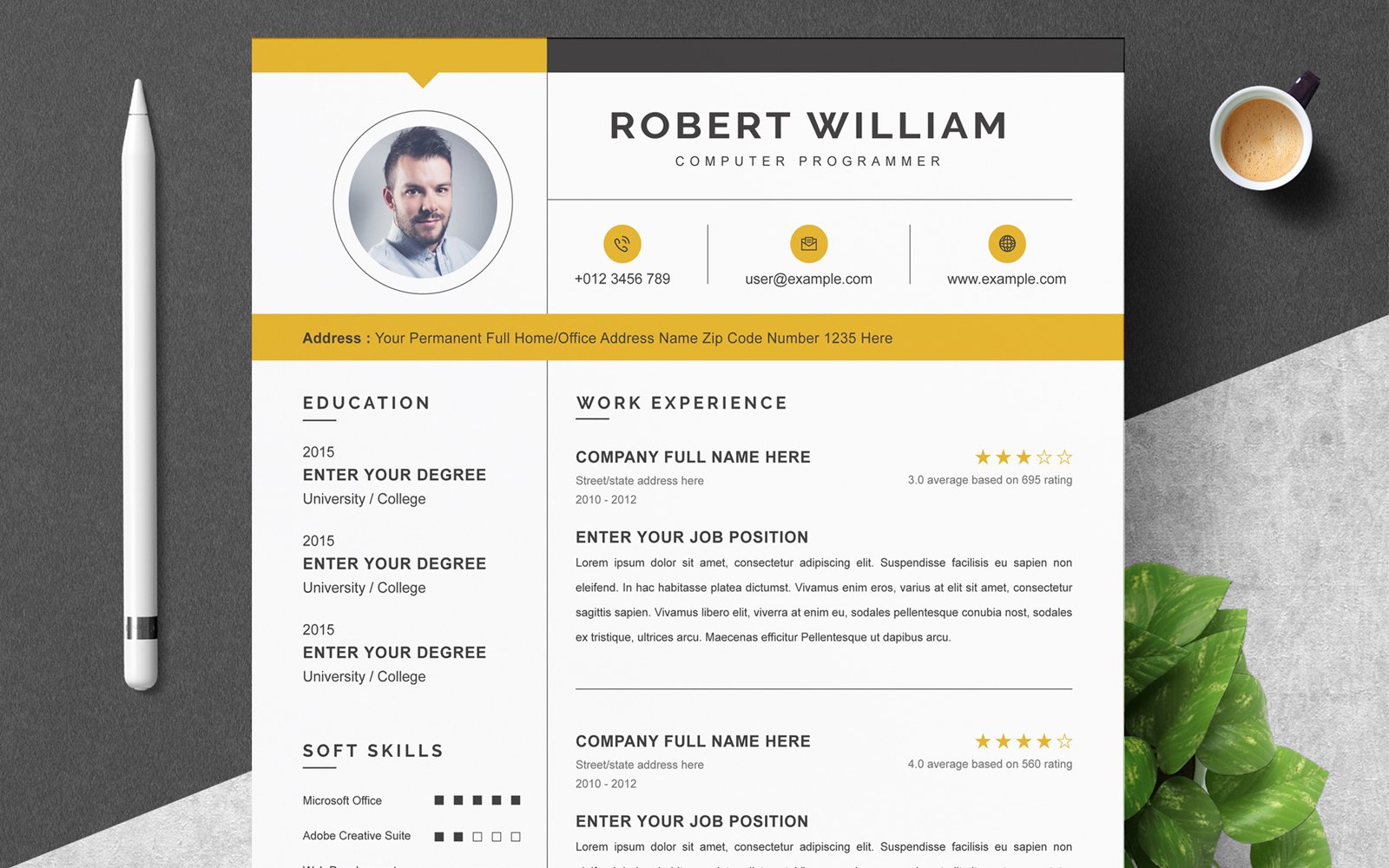 Robert William / Professional Resume Template