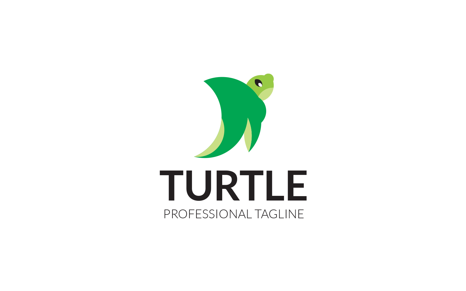 Turtle Tortoise Logo Design Template
