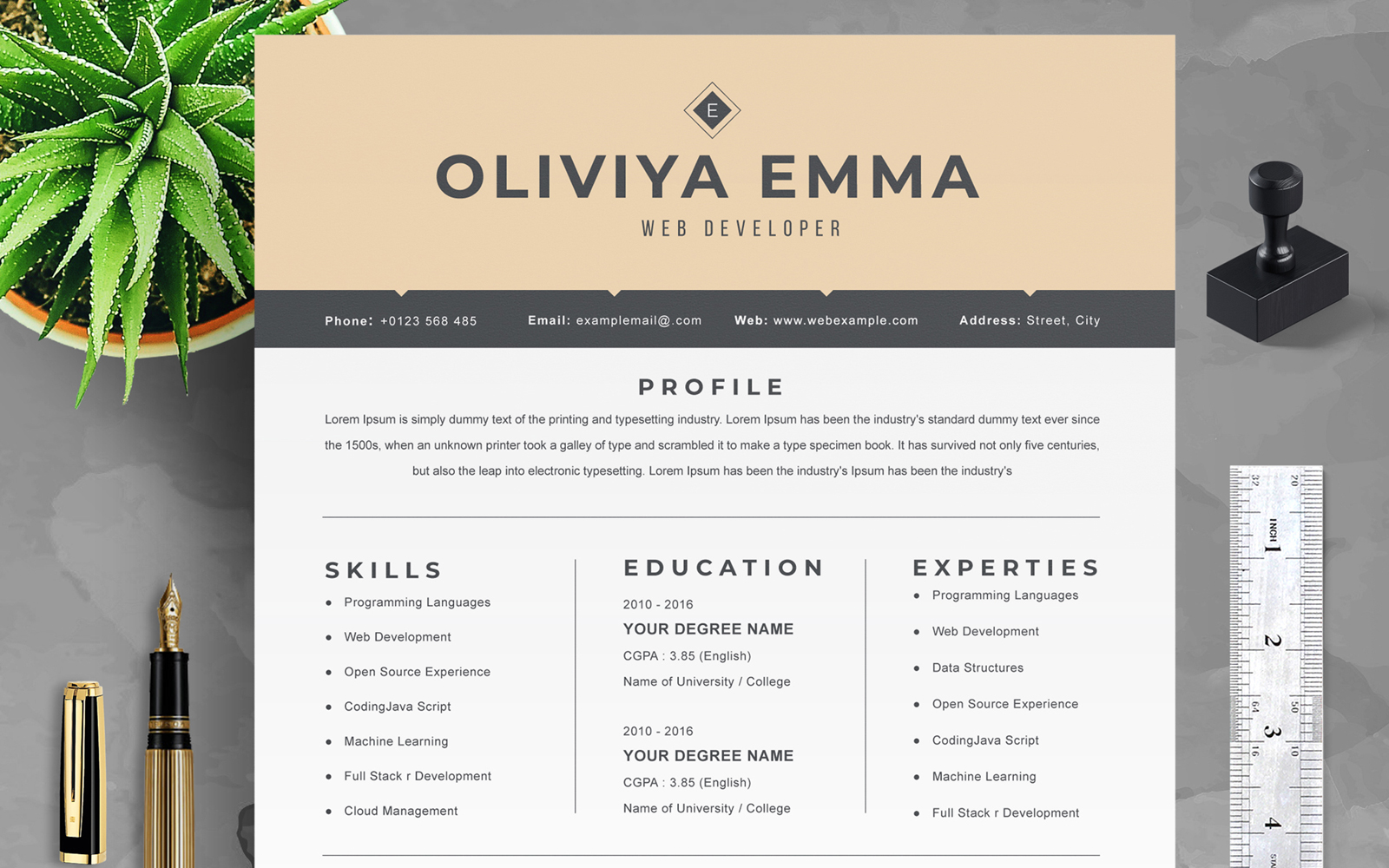 Oliviya / Modern Resume Template