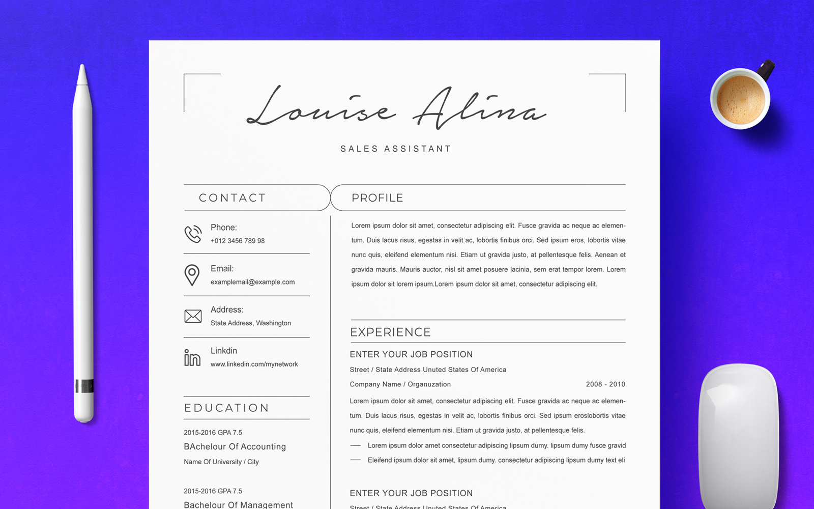Alina / Clean Resume Template