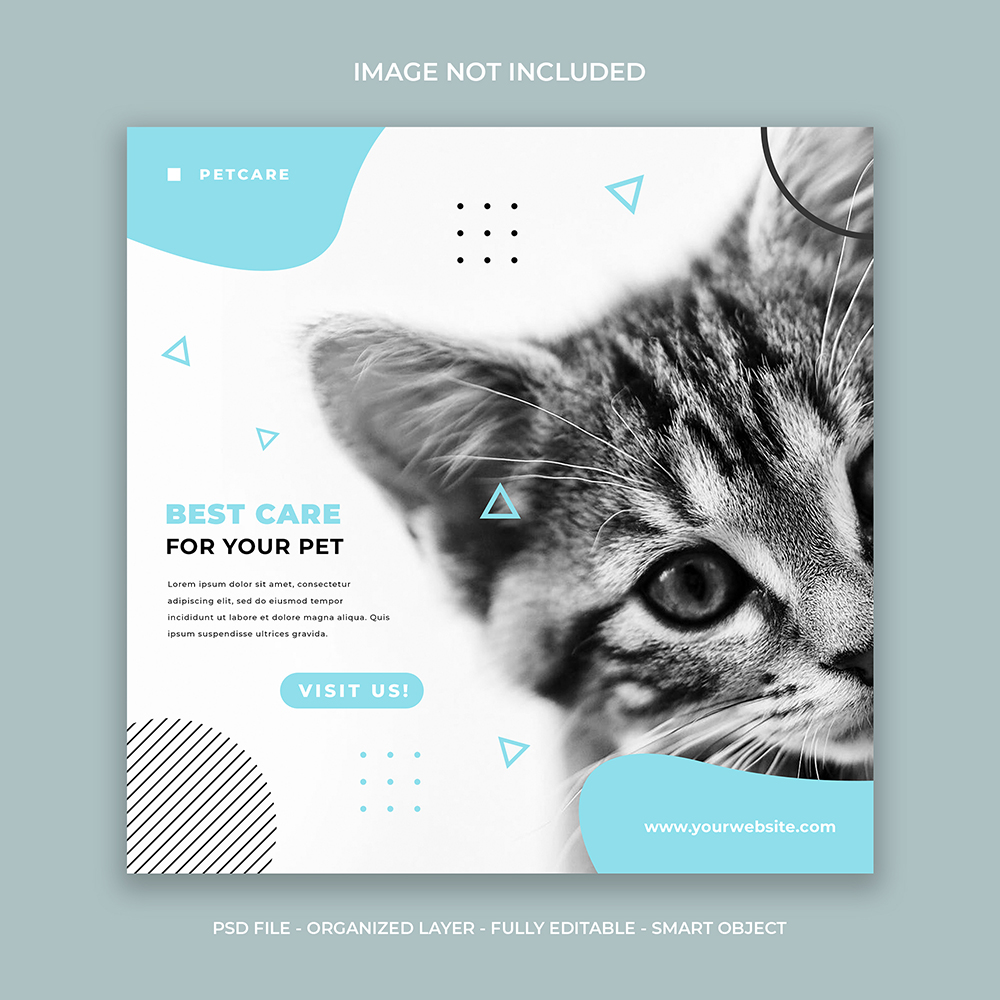 Pet Care Services Post Template