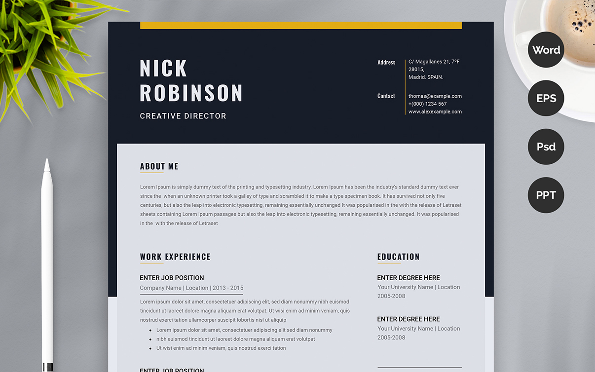 Nick Robinson Resume CV Template