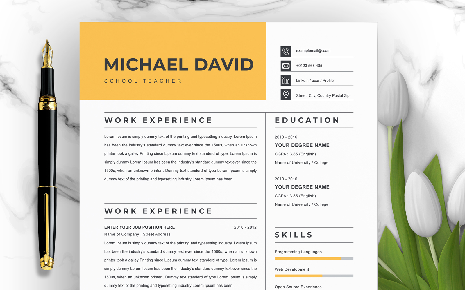 Michael David / Resume Template