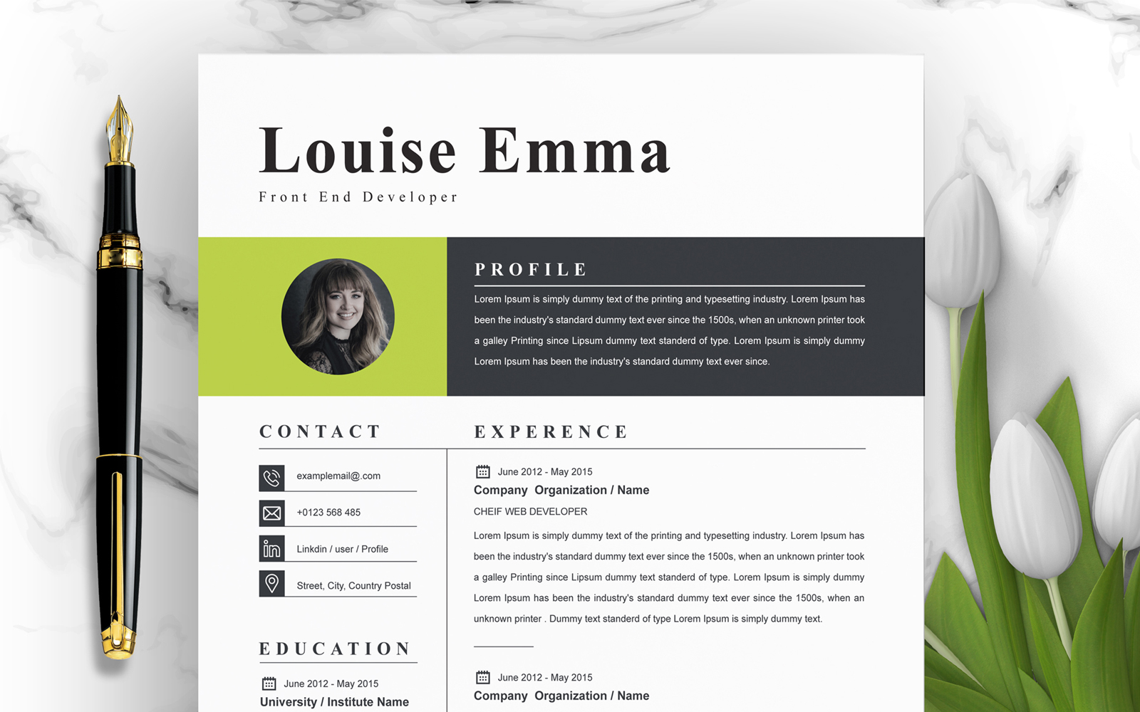 Louise Emma / Professional CV Template