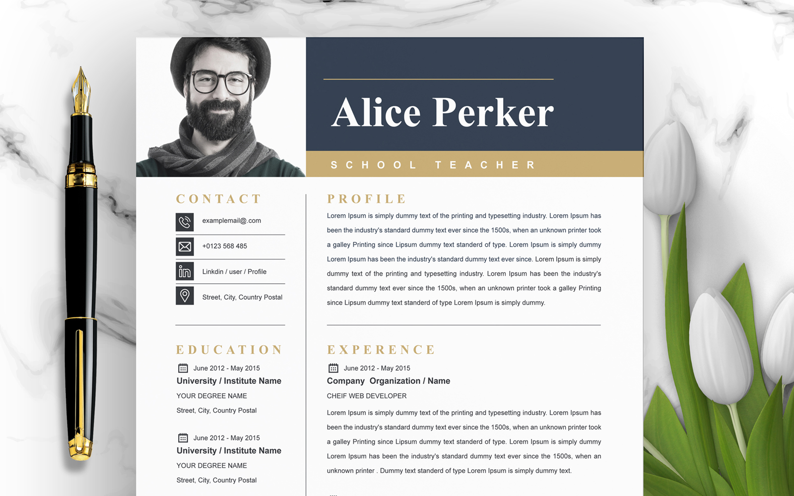 Alice Perker / CV Template