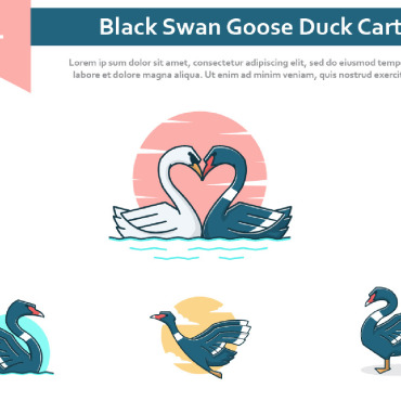 Heart Swan Illustrations Templates 226408