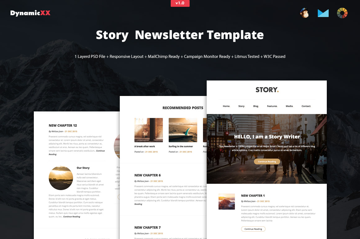 Story Newsletter Template + MailChimp + Compaign Monitor Ready