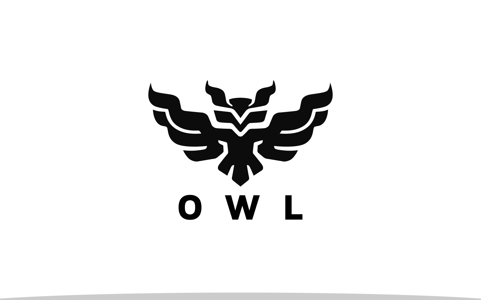 Elegant Owl Flag Logo Template