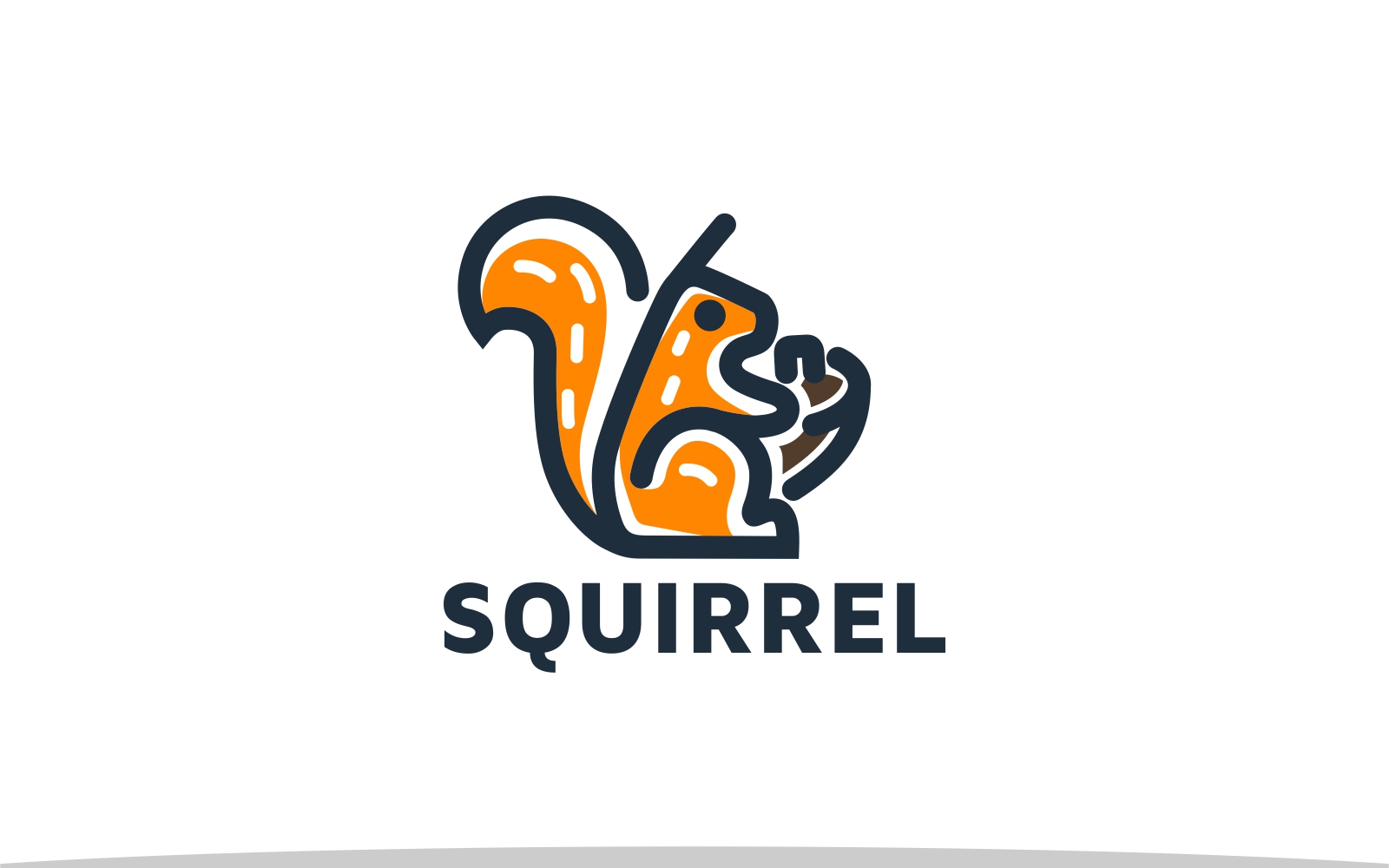 Cute Squirrel Logo Template