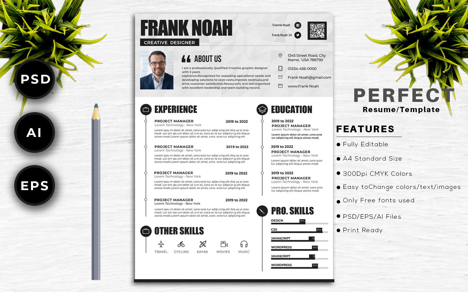 Frank Noah professional & clean CV template