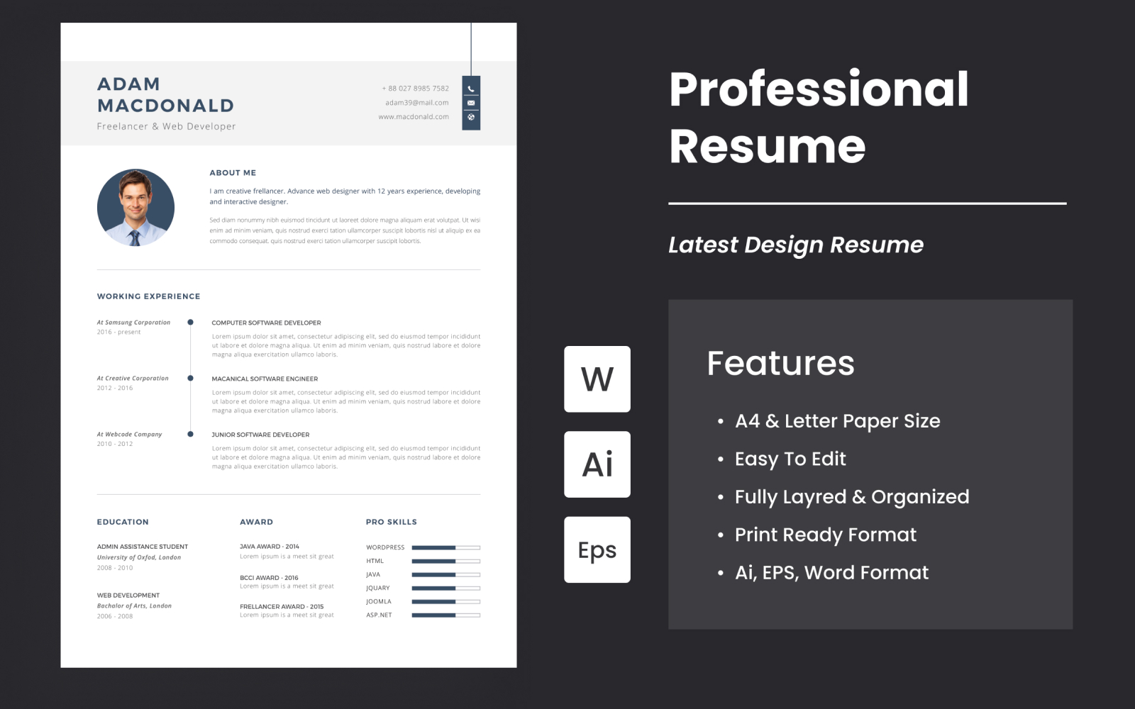 Latest Professional CV And Resume