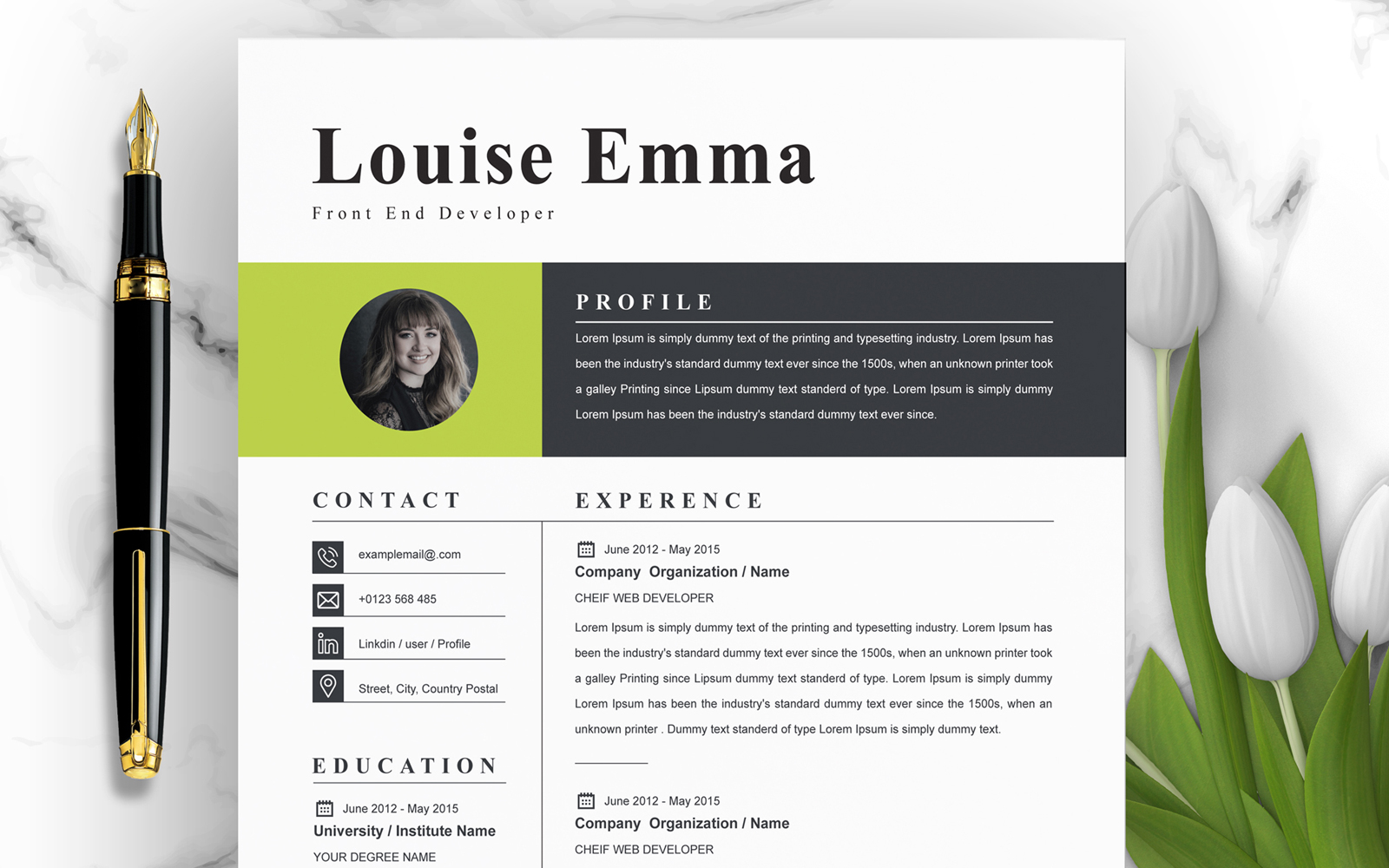 Louise / Modern Resume Template