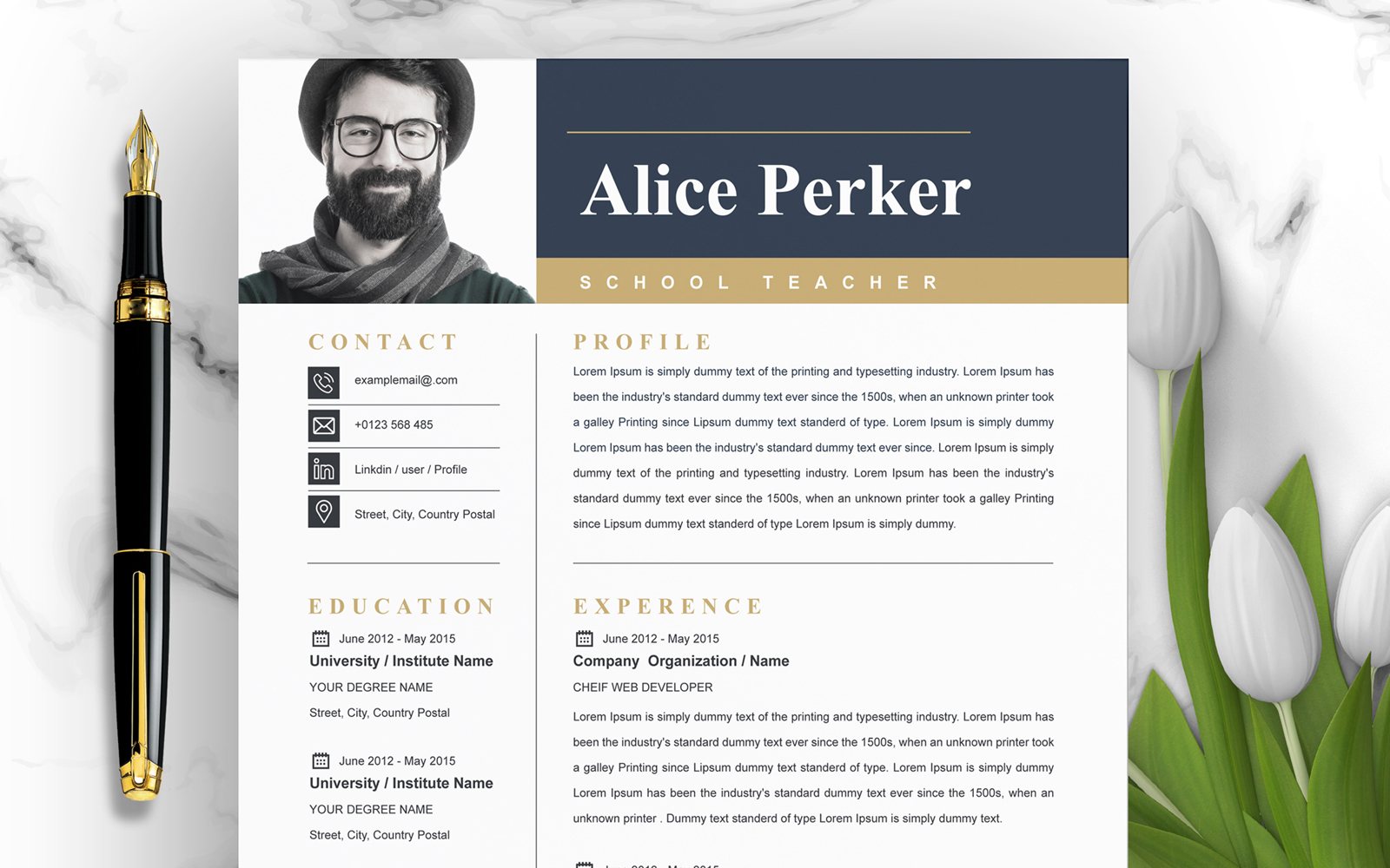 Alice Perker / Resume Template