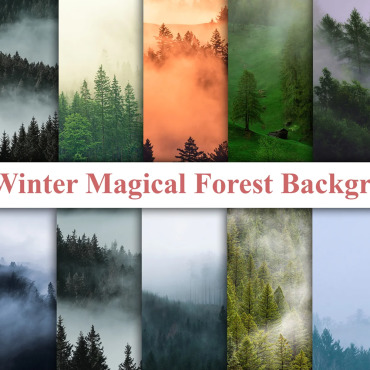 Nature Winter Backgrounds 230791