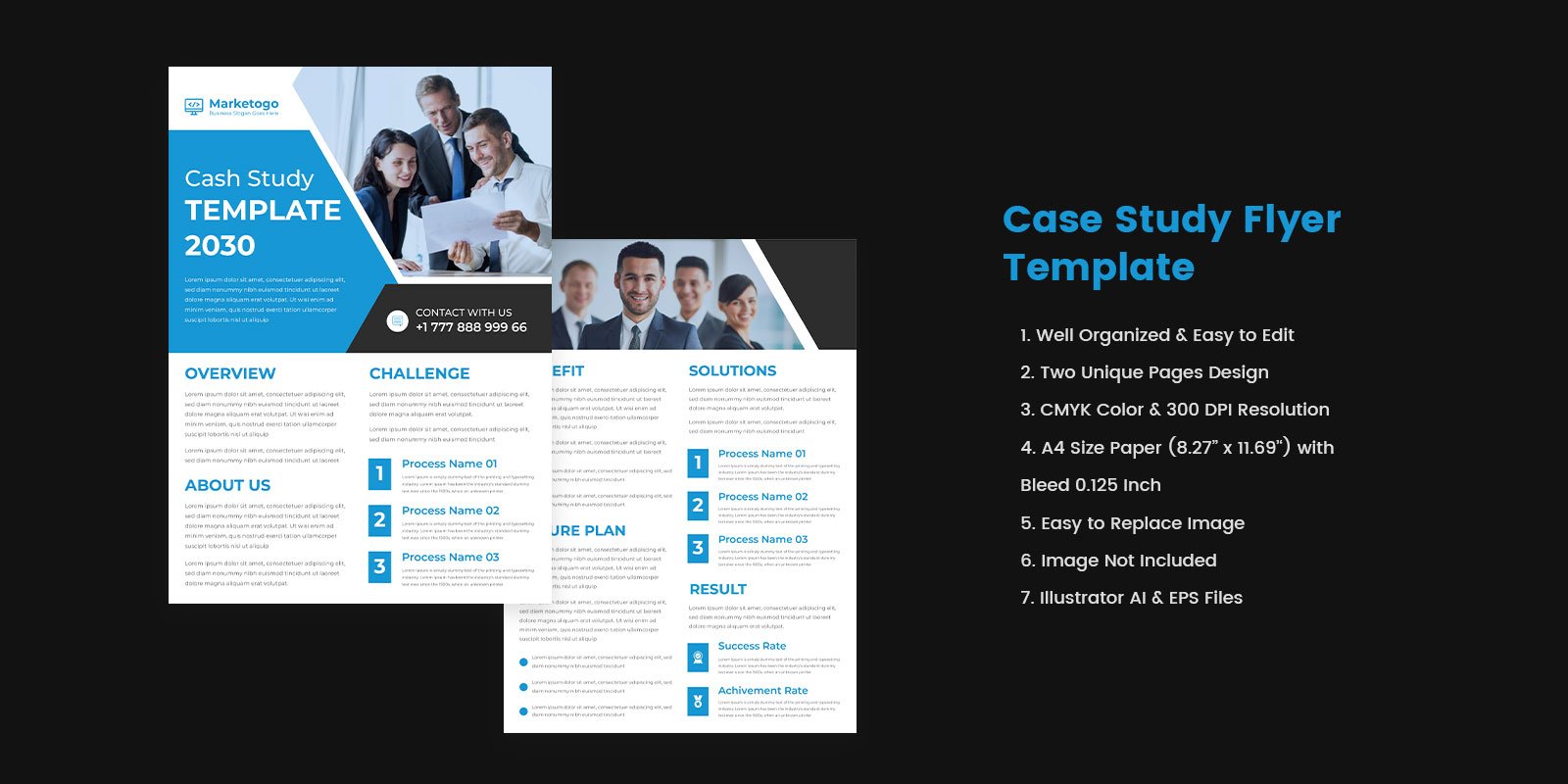 Business Case Study Flyer Template Design