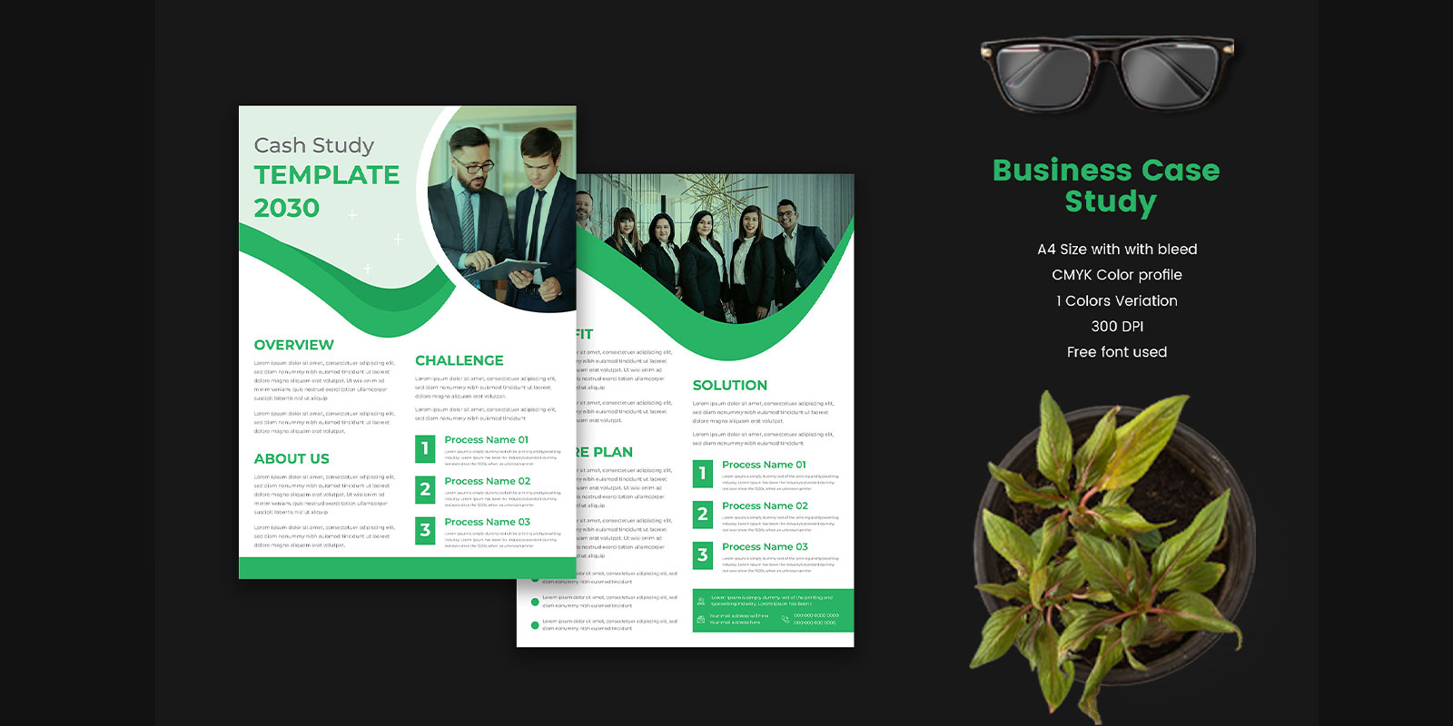 Case Study Template For Marketing Agency