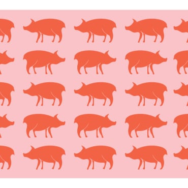 Pig Logo Logo Templates 233064