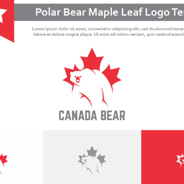 Polar Bear Logo Templates 233111