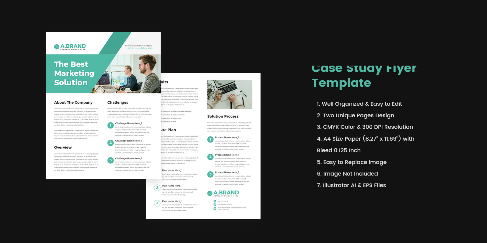 Business Case Study Template For Agency
