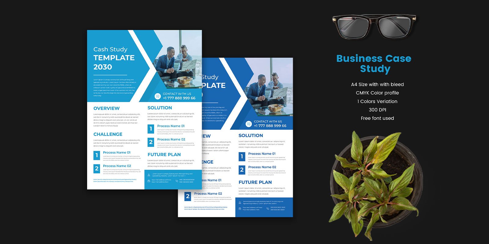 Professional Case Study Template For Any Kind Of Business And Personal Uses