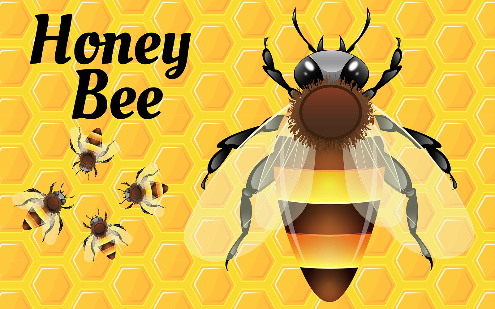 Honey Bee Vector Illustration