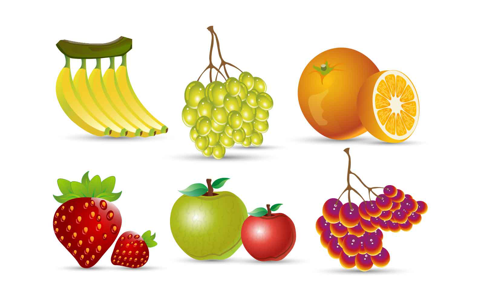 Realistic Fruits vector illustration