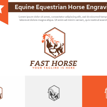 Equestrian Horse Logo Templates 235846