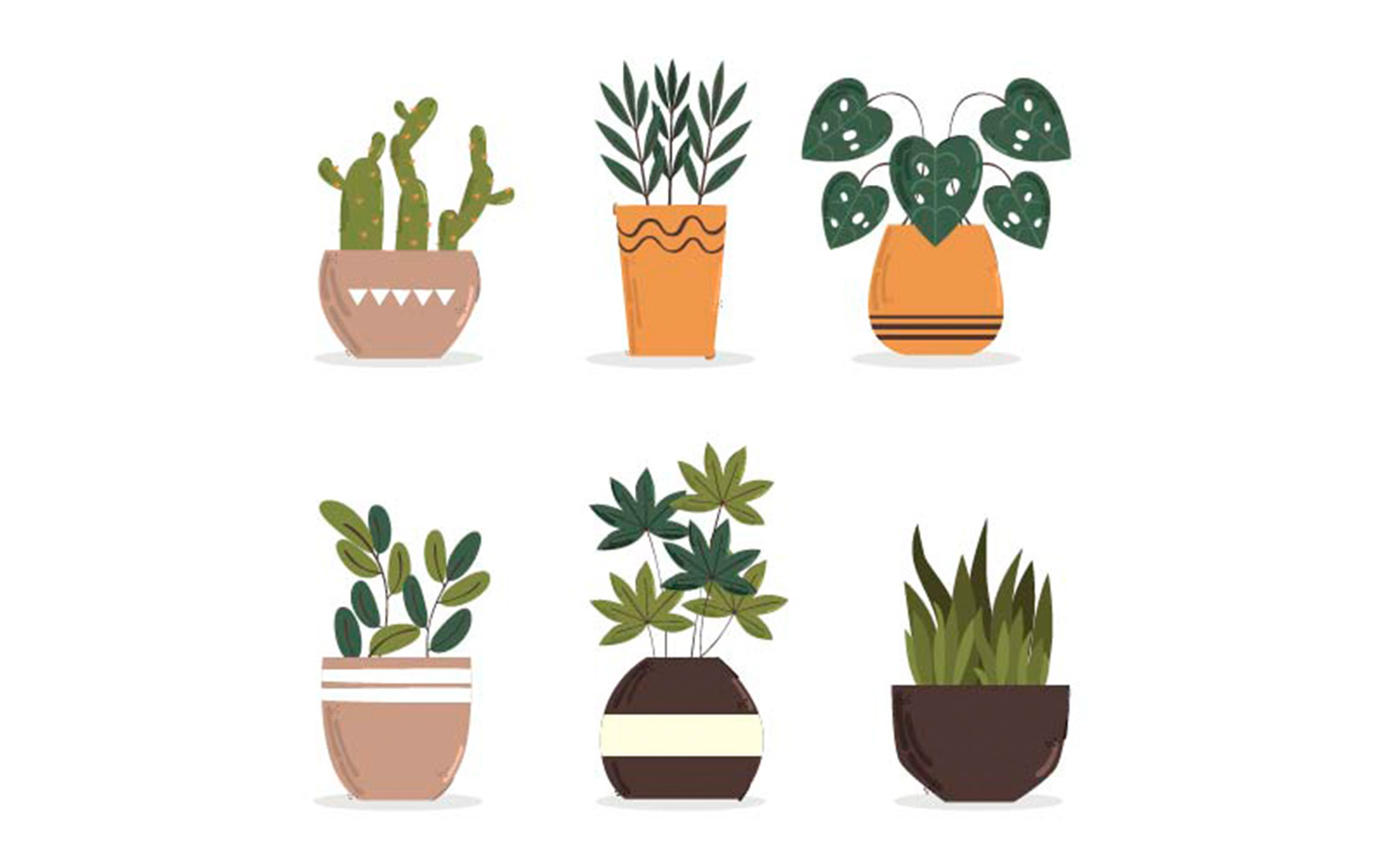 Set of Decorative Houseplants Illustration