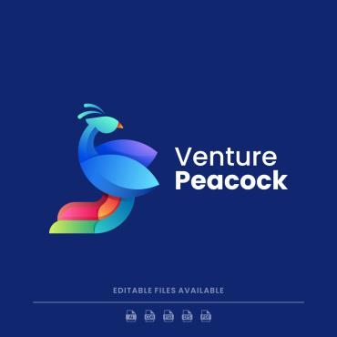 Vector Graphic Logo Templates 238889