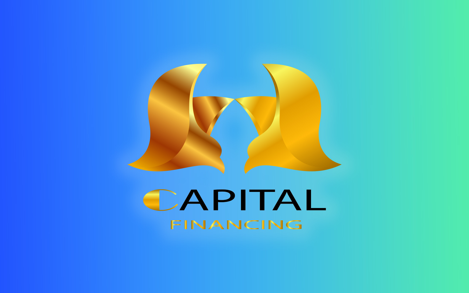 Capital Financing Logo Golden Birds Logo