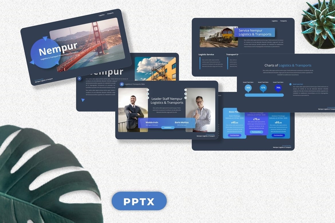 Nempur - Logistics  & Transport Powerpoint