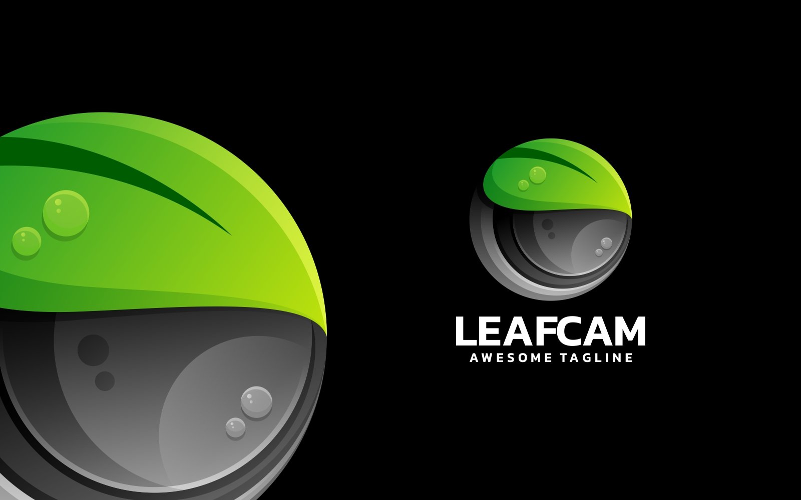 Leaf Camera Gradient Logo