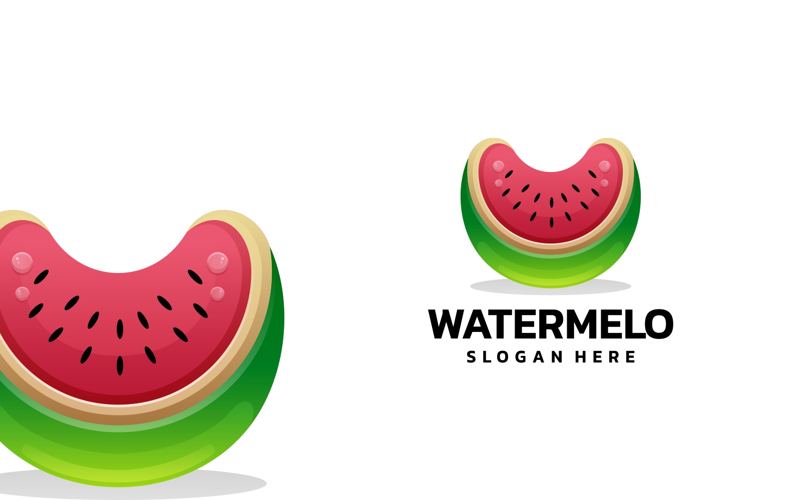 Watermelon Color Gradient Logo