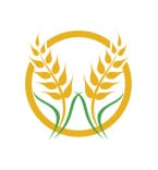 Logo Templates 242354