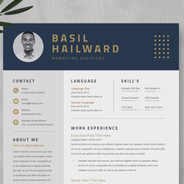 Clean Resume Resume Templates 242526