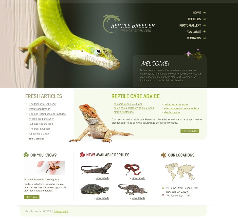 Reptile Website Template #24564