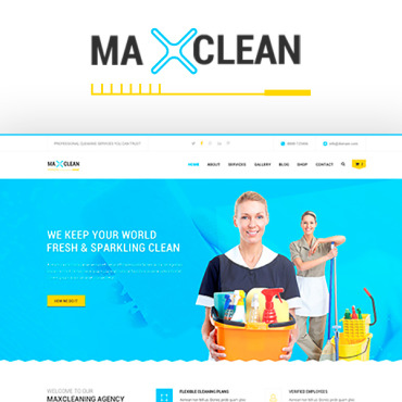 Cleaner Cleaning WordPress Themes 245979