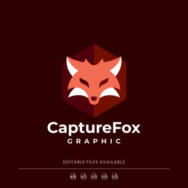 Vector Graphic Logo Templates 247189