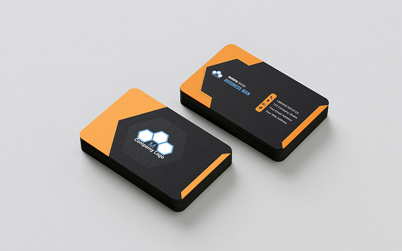 Simple Professional Business Card